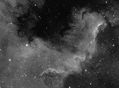 Filename=NGC7000-the-wall-15x300-ha-.jpg
Filesize=166KiB
Dimensions=1350x999
Date added=Oct 09, 2009 NGC7000-the-wall-15x300-ha-.jpg