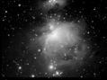 Filename=m42_dsc.jpg
Filesize=45KiB
Dimensions=696x520
Date added=Dec 10, 2007 m42_dsc.jpg