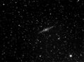 Filename=MMC_NGC891_C_23092005.jpg
Filesize=125KiB
Dimensions=696x520
Date added=Sep 23, 2005 MMC_NGC891_C_23092005.jpg