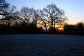 Filename=DSC_1188.jpg
Filesize=689KiB
Dimensions=1024x681
Date added=Feb 21, 2010 DSC_1188.jpg