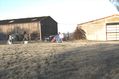 Filename=Stairs_farm_right.jpg
Filesize=1350KiB
Dimensions=4290x2856
Date added=Feb 21, 2010 Stairs_farm_right.jpg