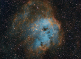 Tadpoles_SHO_600_subs_31_Ha_16_Oiii_13_Sii.png