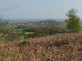 Filename=kelling_heath_views.jpg
Filesize=131KiB
Dimensions=640x480
Date added=Apr 27, 2009 kelling_heath_views.jpg