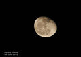 Filename=Moon_3_ps.jpg
Filesize=153KiB
Dimensions=1569x1109
Date added=Mar 11, 2012 Moon_3_ps.jpg