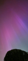 Filename=Roberto_Botero_Petts_wood.png
Filesize=694KiB
Dimensions=924x2000
Date added=May 22, 2024 Roberto_Botero_Petts_wood.png